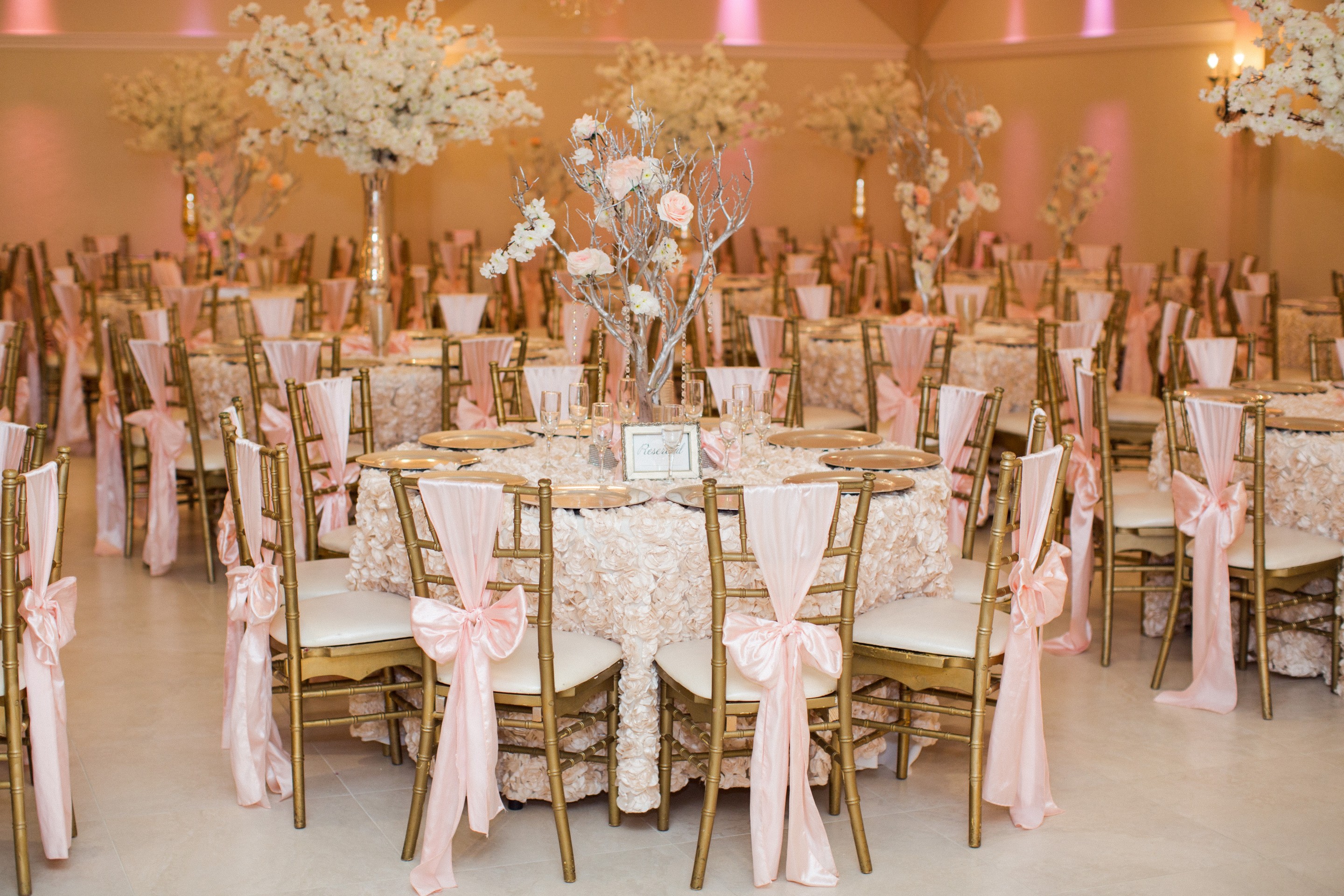 Receptions Photo Gallery | Villa Tuscana Reception Hall