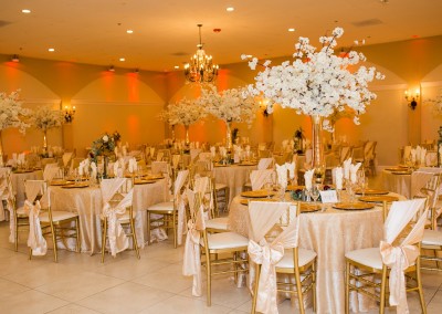 Ballroom Photo Gallery | Villa Tuscana Reception Hall